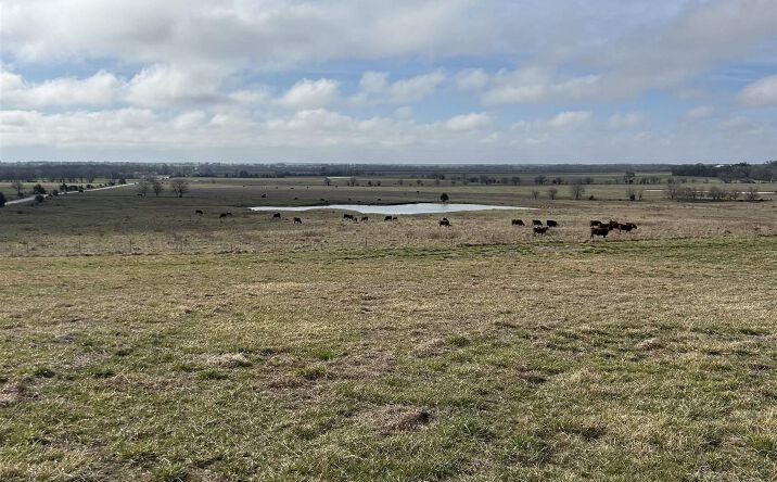Pictures of Land property located at 2220 Louisiana Rd, Ottawa, KS 66067 for sales - image #1