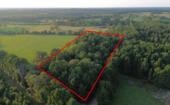 Pictures of Land property located at TBD County Road 4335, Atlanta, TX 75551 for sales - image #1