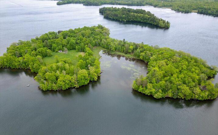 Pictures of Land property located at X Garbutt Island, Birchwood, WI 54817 for sales - image #1