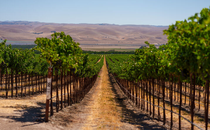 Pictures of Land property located at 63950 San Bernardo Rd, San Ardo, CA 93450 for sales - image #1