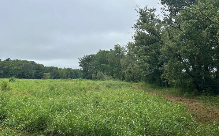 Pictures of Land property located at Abercrombie Rd, Culloden, GA 31016 for sales - image #1