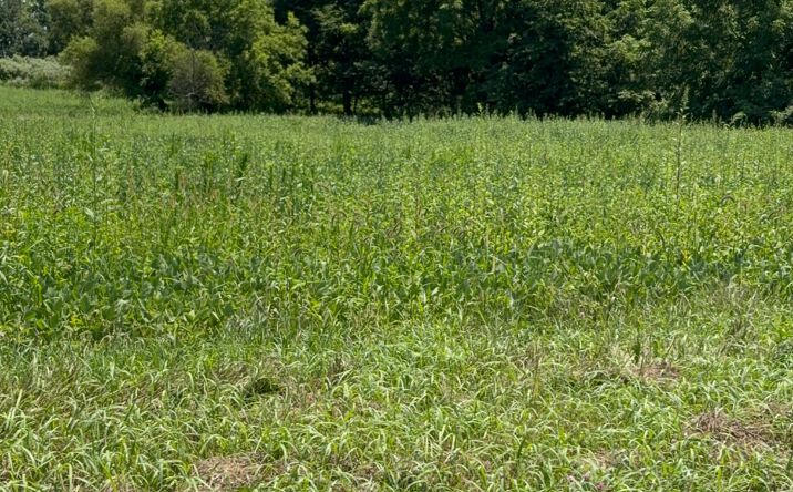 Pictures of Land property located at 4800 N 275 W, Crawfordsville, IN 47933 for sales - image #1