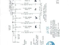 27029226