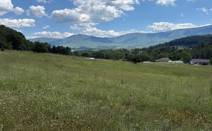 Pictures of Land property located at 97 Smedley Ln, Bentonville, VA 22610 for sales - image #1