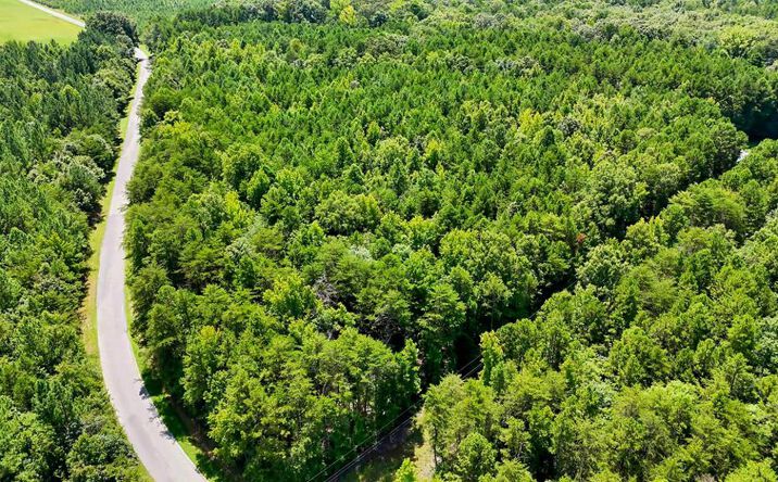 Pictures of Land property located at 42 Beech Creek Rd, Nelson, VA 24580 for sales - image #1