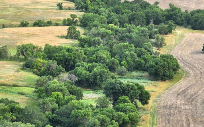Pictures of Land property located at to be determined, Hamill, SD 57534 for sales - image #1