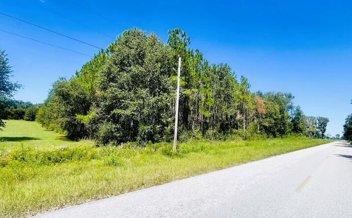 Pictures of Land property located at T/B/D NW 50th Ave, Trenton, FL 32693 for sales - image #1