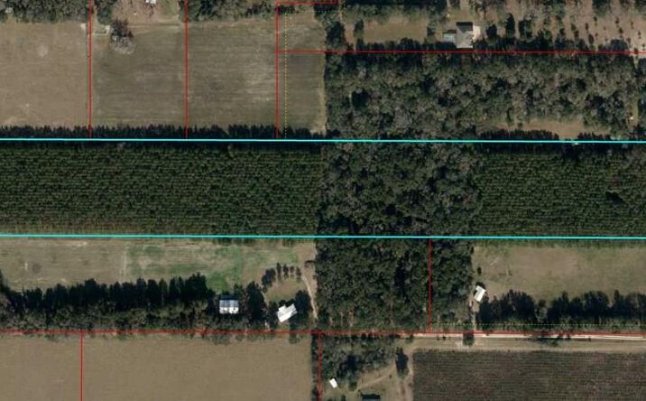Pictures of Land property located at T/B/D NW 50th Ave, Trenton, FL 32693 for sales - image #1