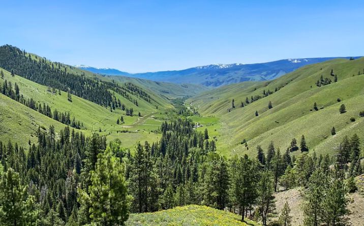 Pictures of Land property located at 387 Tower Creek Rd, Carmen, ID 83462 for sales - image #1