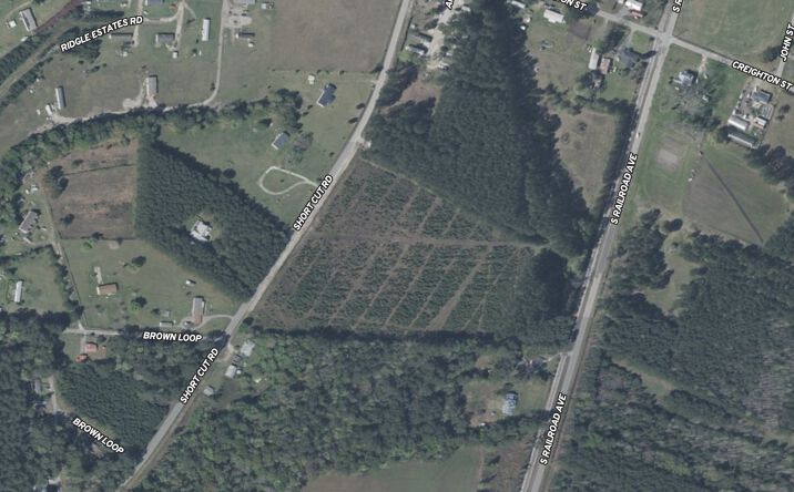 Pictures of Land property located at Short Cut Rd, Harleyville, SC 29448 for sales - image #1