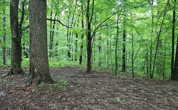 Pictures of Land property located at 4.9 +/- Acres Off-Grid Cabin Retreat with Trails and Hunting, Rushville, IN 46173 for sales - image #1