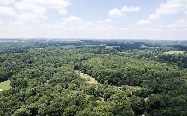 Pictures of Land property located at 45+/- Acres Recreational, Hunting, & Potential Homesite, Rushville, IN 46173 for sales - image #1