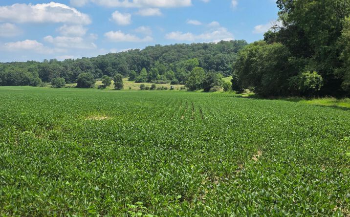 Pictures of Land property located at 291.68 +/- Acres Brown County Diverse Recreational Property, Nashville, IN 47448 for sales - image #1