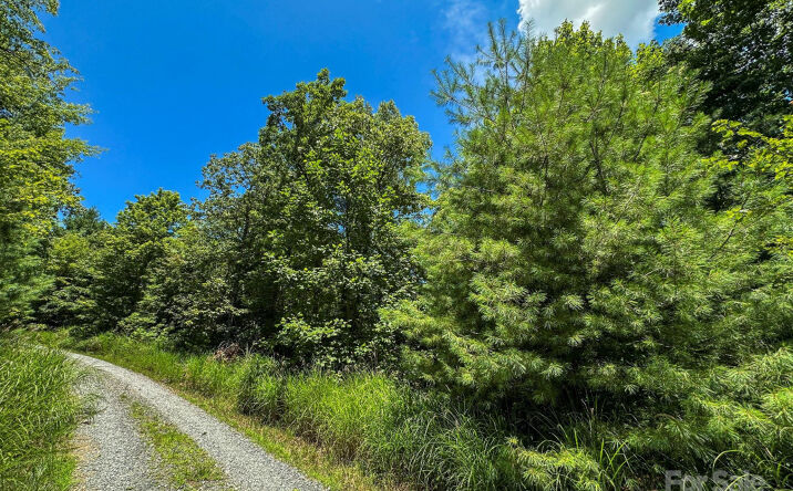 Pictures of Land property located at TBD Emma Bri Lane Unit #10, Hendersonville, NC 28739 for sales - image #1