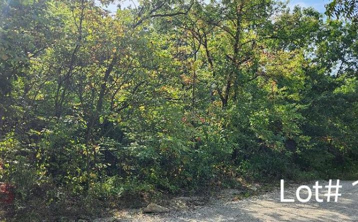 Pictures of Land, Special Purpose property located at 7515 Springcove Road, Lacygne, KS 66040 for sales - image #1