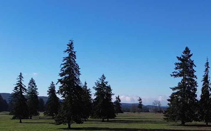Pictures of Land property located at 13911 Military Rd SE, Tenino, WA 98589 for sales - image #1