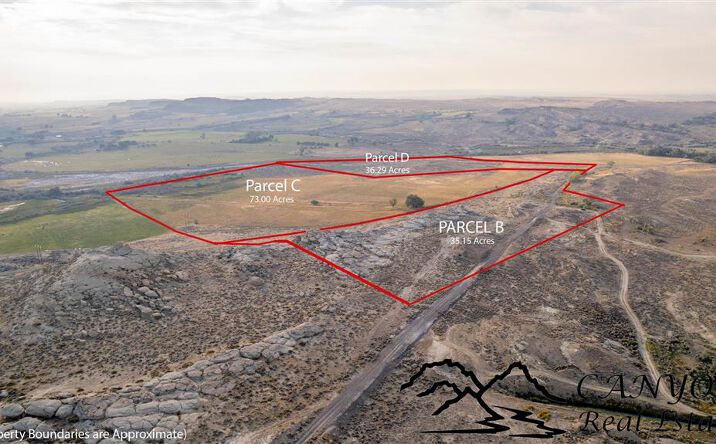 Pictures of Land property located at TBD Hwy 114, Powell, WY 82435 for sales - image #1