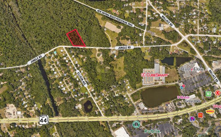 Pictures of Land property located at Jungle Rd, New Smyrna Beach, FL 32168 for sales - image #1