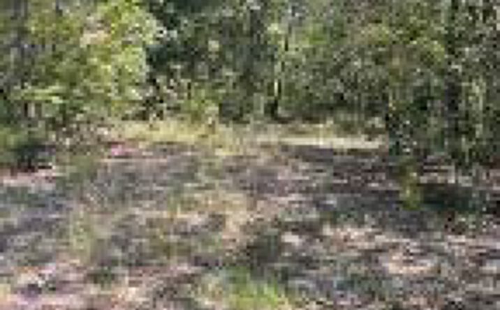 Pictures of Land property located at 525 Kasey Lane, Aiken, SC 29803 for sales - image #1