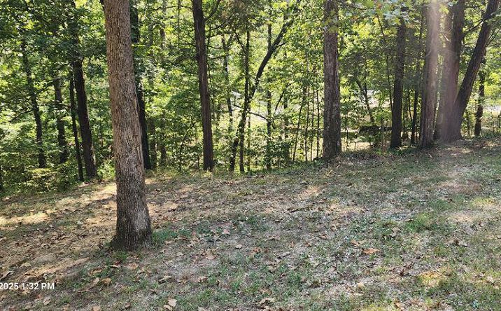 Pictures of Land, Multifamily property located at 162 Stirling Rd, Camden, TN 38320 for sales - image #1