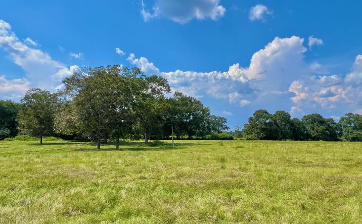 Pictures of Land, Multifamily property located at NHN Thomas School Road, Lumberton, MS 39455 for sales - image #1