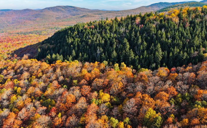 Pictures of Land property located at Starr Mountain, East Haven, VT 05837 for sales - image #1
