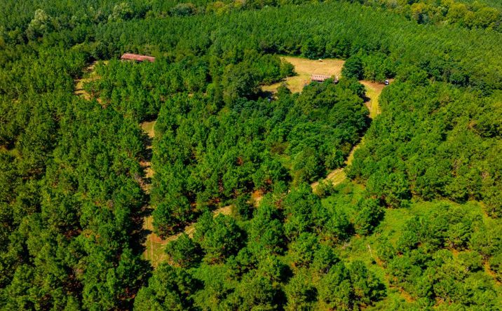 Pictures of Land property located at HWY 338, Dudley, GA 31022 for sales - image #1