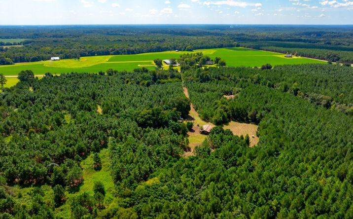 Pictures of Land property located at Hwy 338, Dudley, GA 31022 for sales - image #1