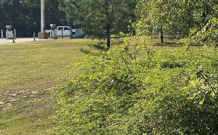 Pictures of Land property located at Co Rd 29, Evergreen, AL 36401 for sales - image #1