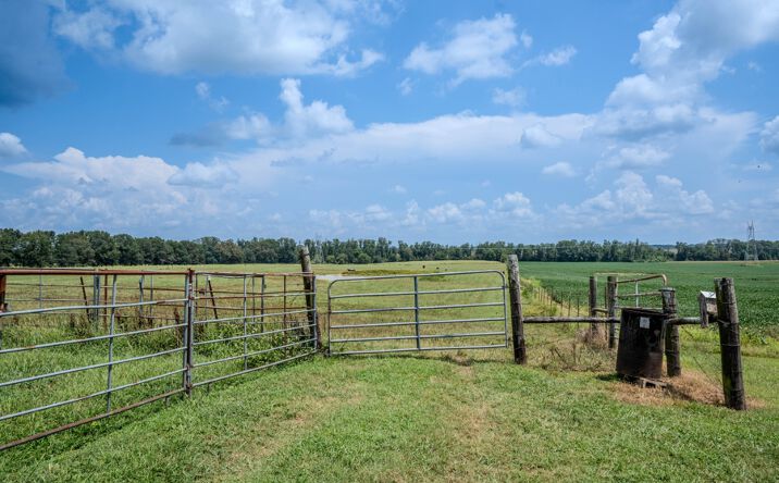 Pictures of Land property located at 0 Lightfoot Ln, Lawrenceburg, TN 38464 for sales - image #1