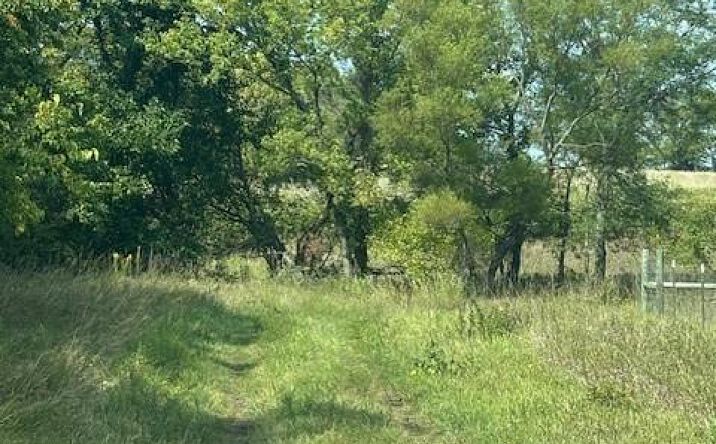 Pictures of Land property located at 1369 N 550th Road, Baldwin City, KS 66006 for sales - image #1
