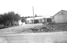 27069726