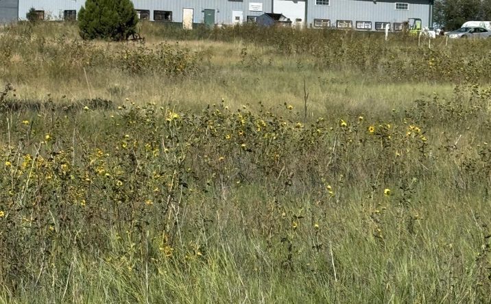 Pictures of Mixed Use, Industrial, Office property located at 845 Airport Road, Las Vegas, NM 87701 for sales - image #1