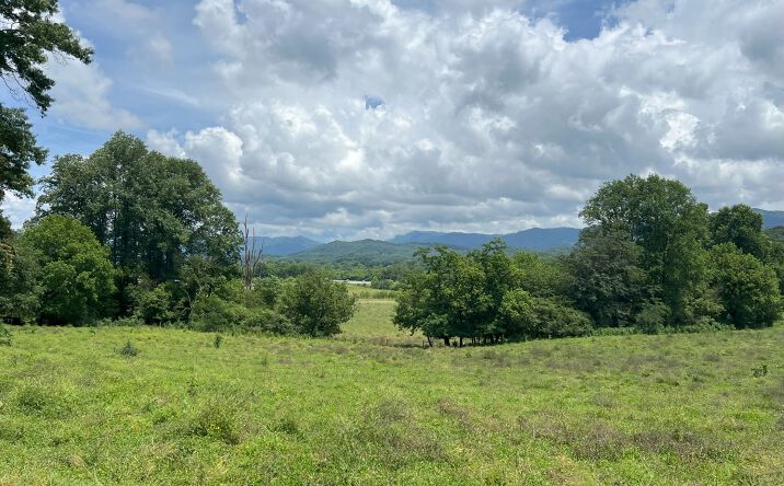 Pictures of Land property located at 3480 Airport Rd, Marble, NC 28905 for sales - image #1
