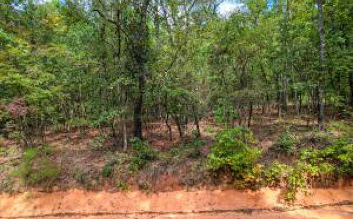 Pictures of Land property located at 0 Centerwood Road, Williston, SC 29853 for sales - image #1