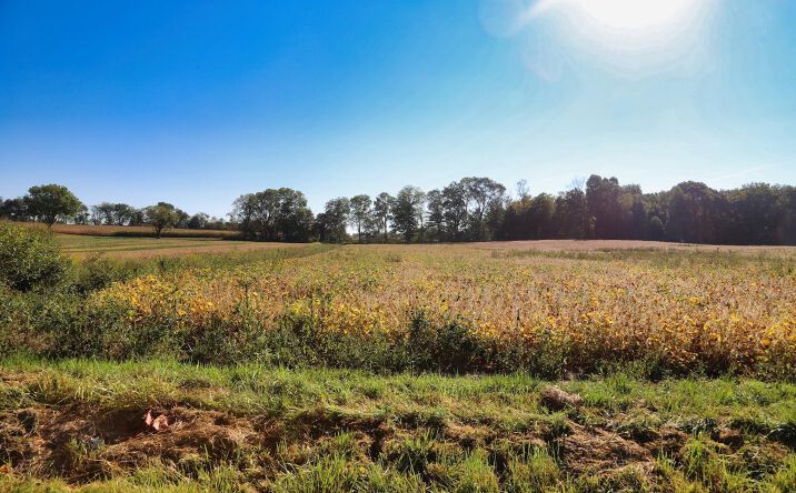 Pictures of Land property located at Crooked Street, Mount Vernon, OH 43050 for sales - image #1
