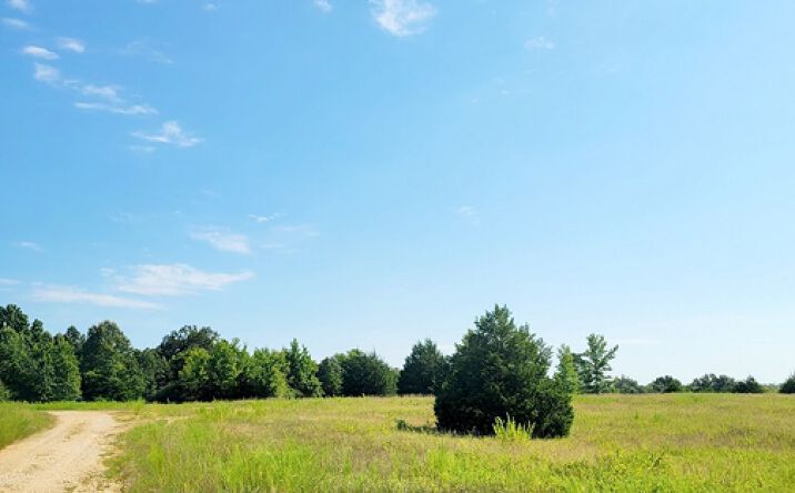 Pictures of Land property located at Sec 22 state Highway 160 East, Doniphan, MO 63935 for sales - image #1