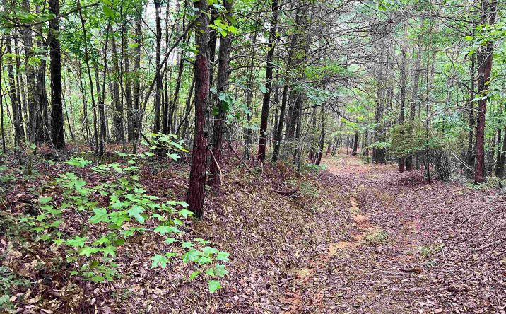 Pictures of Land property located at 451 Percy Vines Rd, Bessemer, AL 35130 for sales - image #1