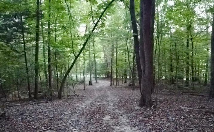 Pictures of Land, Multifamily property located at Sales Landing Rd, Camden, TN 38320 for sales - image #1