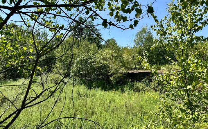 Pictures of Land property located at Baylors Pond Road, North Abington Twp, PA 18420 for sales - image #1