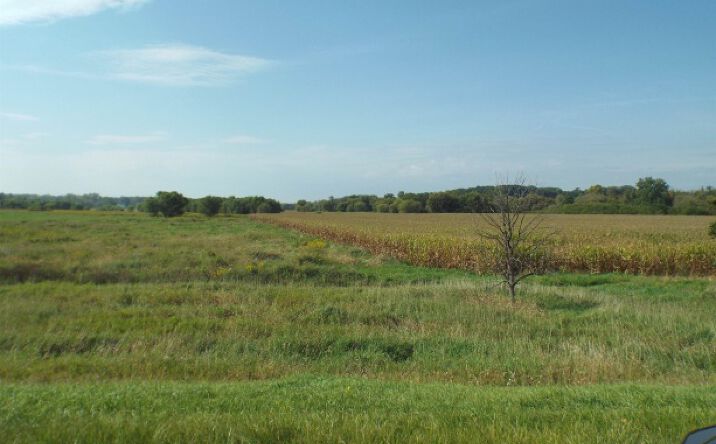 Pictures of Land property located at Tbd Il Rte 26 N, Orangeville, IL 61060 for sales - image #1