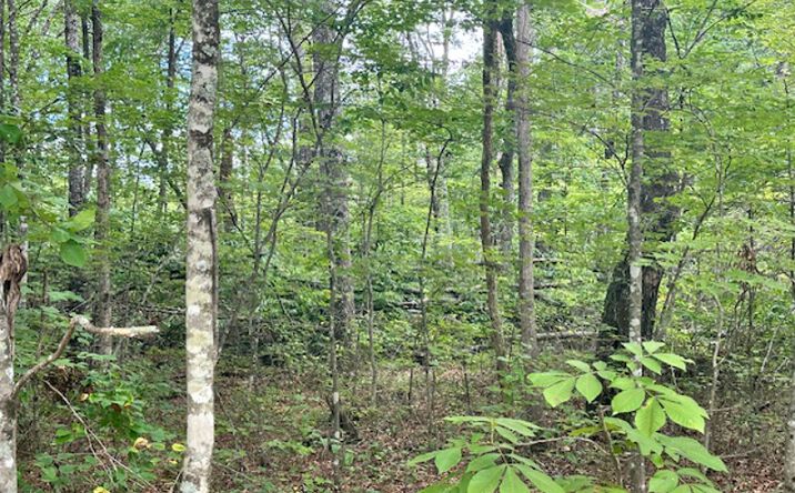 Pictures of Land property located at Cumberland Lakes Dr lot 27, Monterey, TN 38574 for sales - image #1