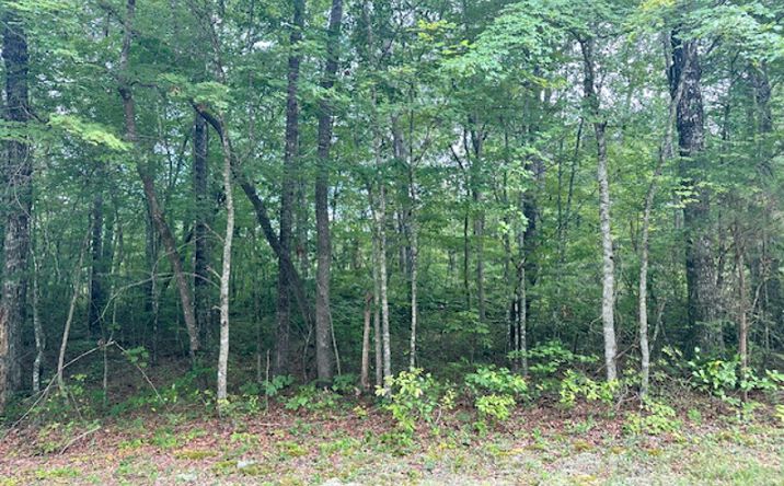 Pictures of Land property located at 142 Mariners Dr, Crossville, TN 38558 for sales - image #1