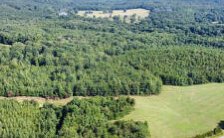 Pictures of Land property located at Wilkinsville Hwy, Cherokee SC, Gaffney, SC 29340 for sales - image #1