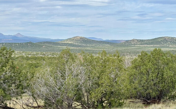 Pictures of Land, Multifamily property located at 2293 N Lawrence Lane, Williams, AZ 86046 for sales - image #1