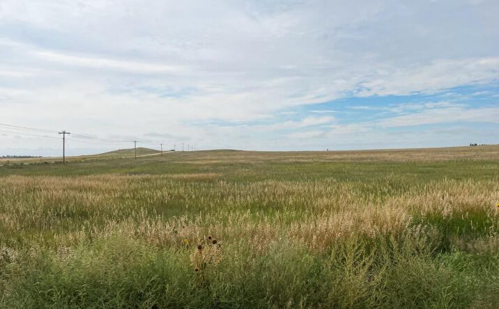 Pictures of Land property located at Cheyenne County CRP N, Potter, NE 69156 for sales - image #1