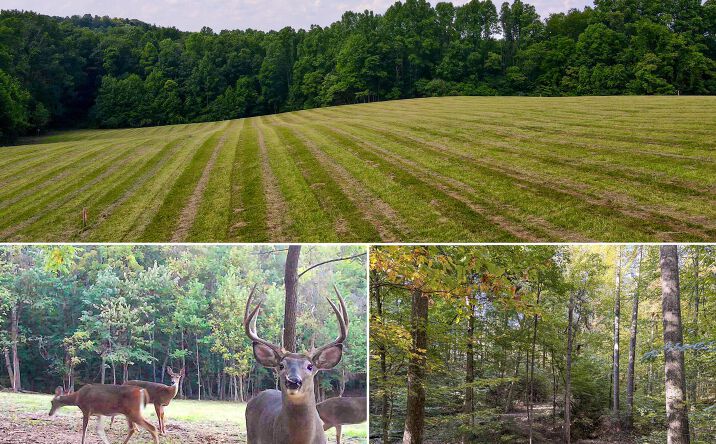 Pictures of Land property located at Wolf Hill Road #(Tract 4 Wolf Hill), Vinton, OH 45686 for sales - image #1