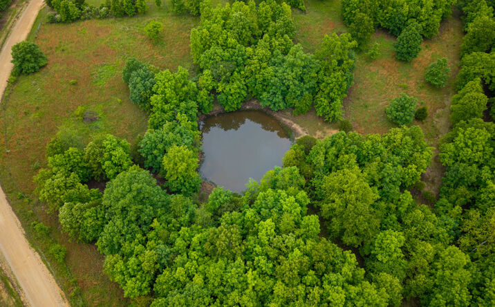 Pictures of Land property located at 0742 County Road 302, Alton, MO 65606 for sales - image #1