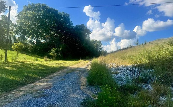 Pictures of Land property located at 1430 Roaring Fork Rd, Greeneville, TN 37745 for sales - image #1