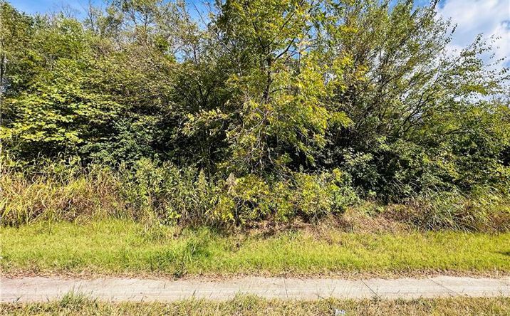 Pictures of Land property located at 7320 Riverview Avenue, Kansas City, KS 66112 for sales - image #1